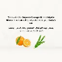 Organic Baby Shampoo (50ml)